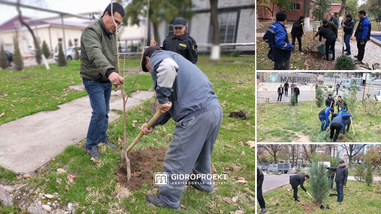 "Yashil Makon" is not just planting trees, but constant monitoring and care for them.